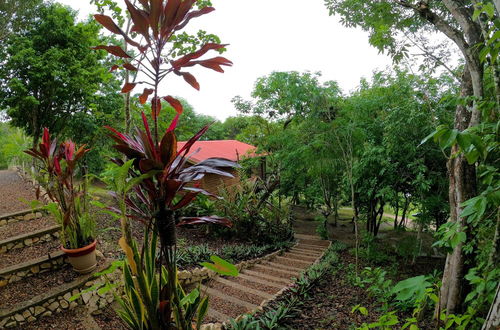 Photo 26 - Santa Cruz Cabins