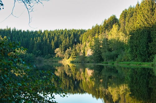 Photo 19 - Your Holiday Home in the Harz Mountains