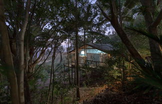 Photo 2 - Treetops Seaview Montville