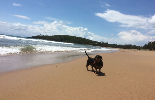 Sunbird Gardens - Photo 24