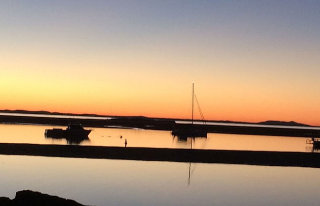 Sunbird Gardens - Photo 25