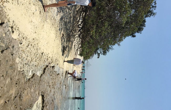 Sunbird Gardens - Photo 21