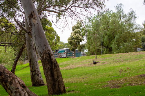 Photo 65 - Windsor Gardens Caravan Park