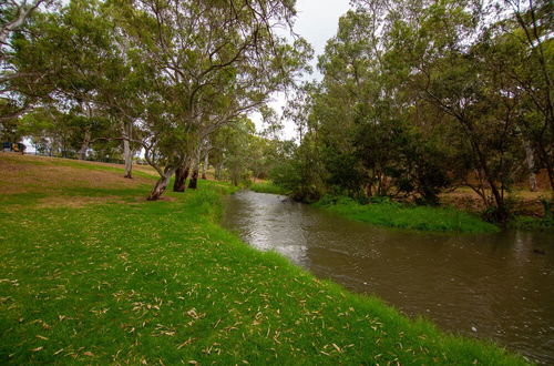 Foto 67 - Windsor Gardens Caravan Park