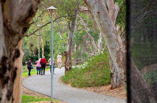 Photo 66 - Windsor Gardens Caravan Park