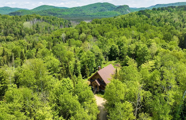 L Imprévu by Tremblant Platinum - Foto 42