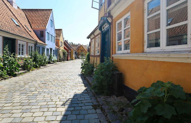 3 Person Holiday Home in Aeroskobing - Foto 29