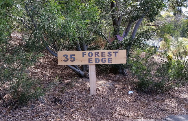 Forest Edge - Photo 13