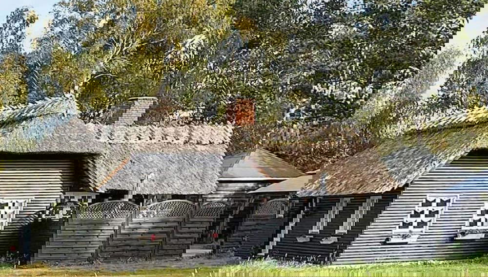 Imagem principal