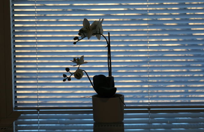 Huoneistohotelli Jääskän Loma - Foto 7
