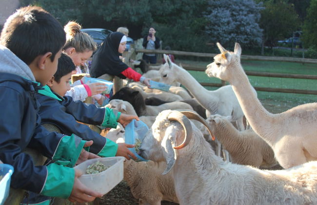 Pump Hill Farm Cottages - Foto 47