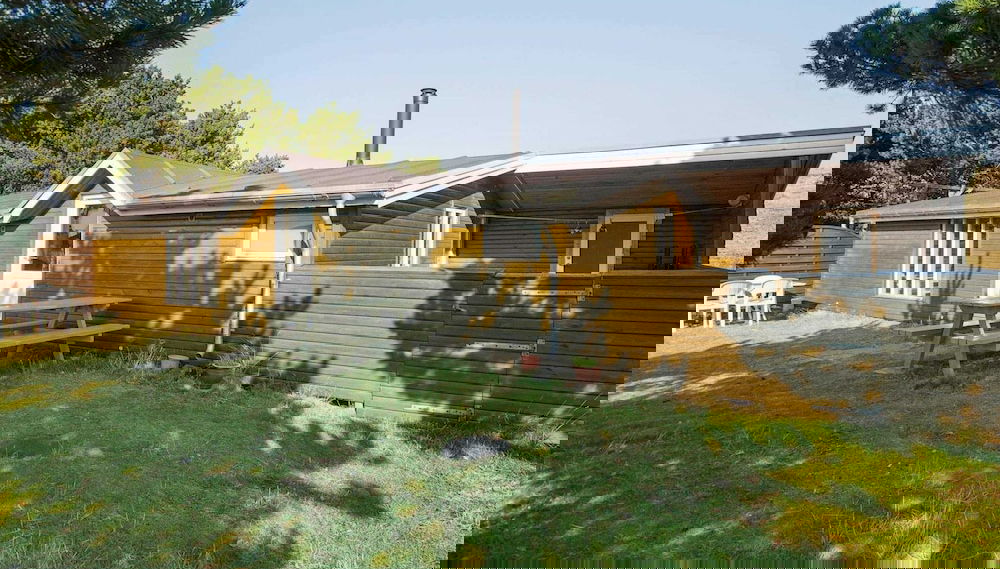 Imagem principal