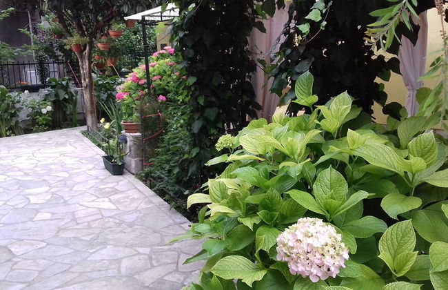 Apartments Matkovic - Photo 6