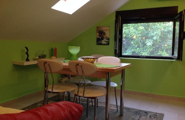 Apartments Matkovic - Photo 15