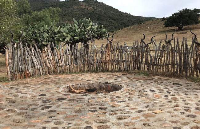 Farm Stays, Here you Will be Able to Relax and Enjoy the Beauty of Nature - Foto 79