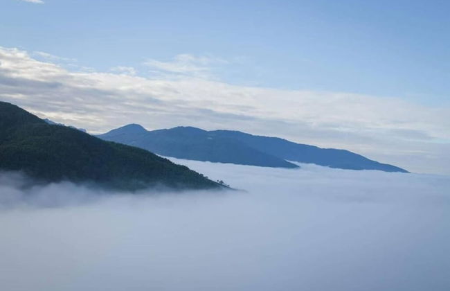 Shen Shan Lin Nai B&B - Photo 32