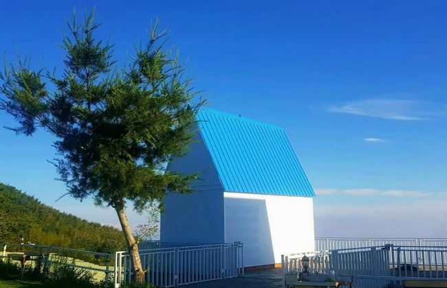 Shen Shan Lin Nai B&B - Photo 45