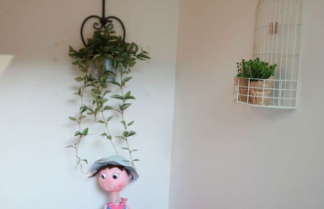 Green Castle Pension - Photo 20