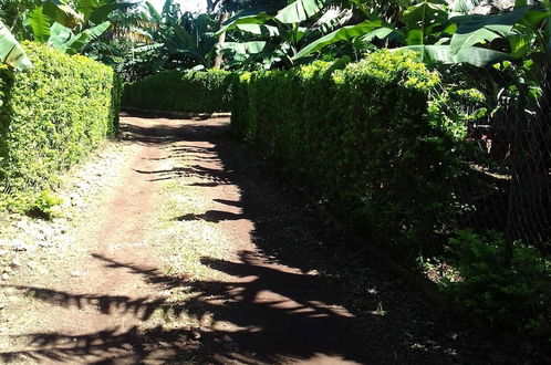 Photo 20 - Inviting 2-bed House Komakundi Rural Kilimanjaro