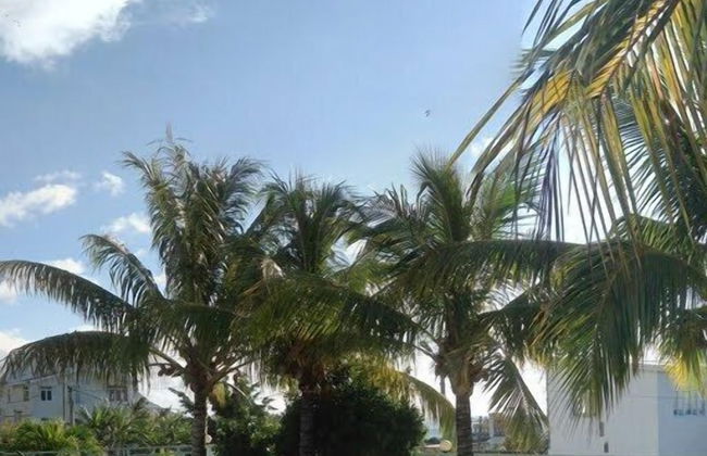 Marisa Residences - Foto 38