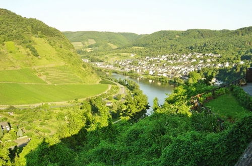 Foto 34 - Living in the Historic Cochem Old Town