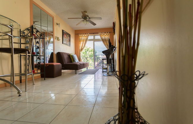 New Kingston C A Guest Apartments I - Photo 6