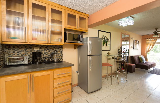 New Kingston C A Guest Apartments I - Photo 13