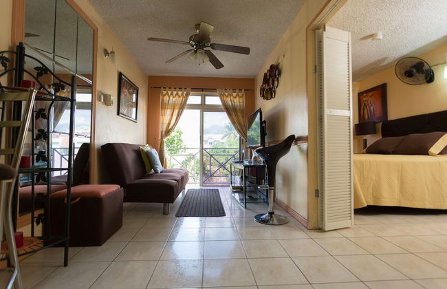 New Kingston C A Guest Apartments I - Photo 8
