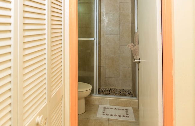 New Kingston C A Guest Apartments I - Photo 3