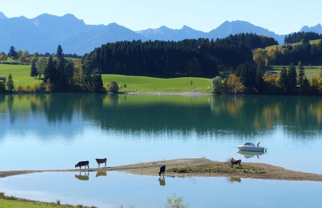 Spacious, Inviting Apartment Near Fussen in the Allgau Region in Bavaria - Foto 23