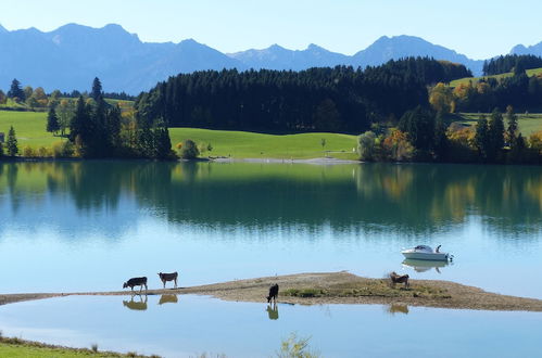 Photo 23 - Spacious, Inviting Apartment Near Fussen in the Allgau Region in Bavaria