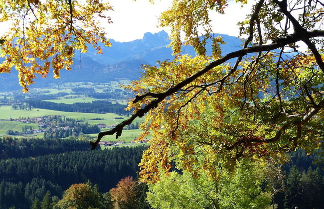 Spacious, Inviting Apartment Near Fussen in the Allgau Region in Bavaria - Foto 26