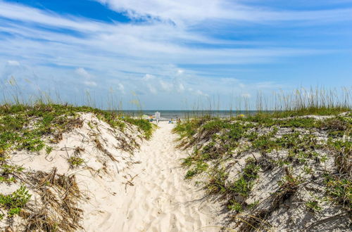 Photo 20 - Sea Oats #c206