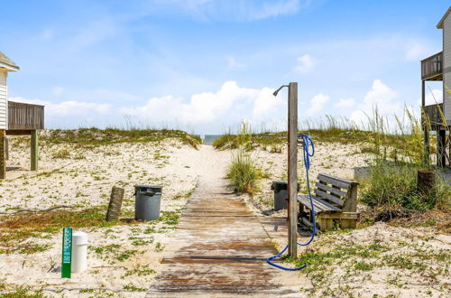 Photo 16 - Sea Oats #c206