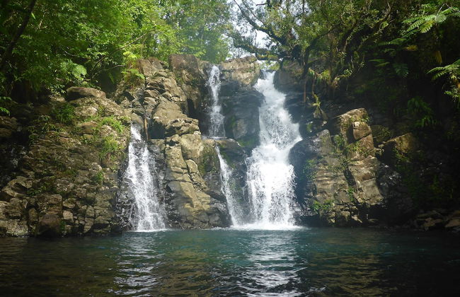 Taveuni Palms - Foto 50