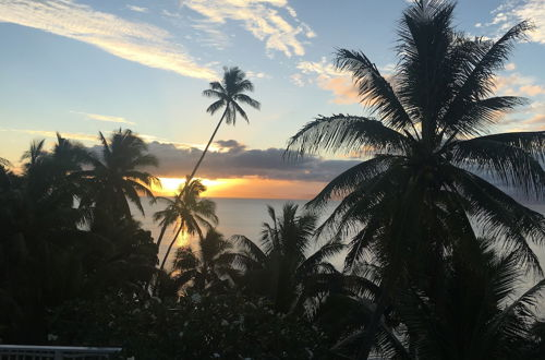 Photo 69 - Taveuni Palms