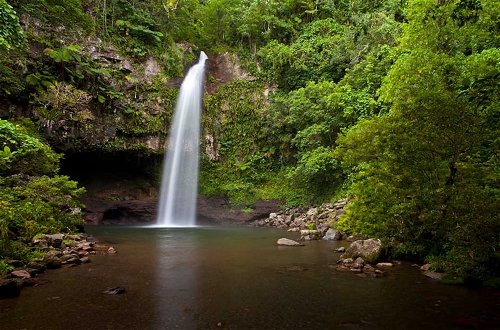Foto 53 - Taveuni Palms