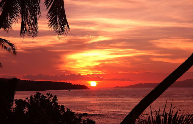 Taveuni Palms - Foto 23