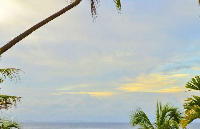Taveuni Palms - Foto 68