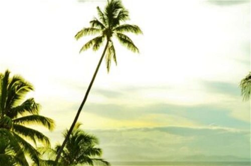 Photo 35 - Taveuni Palms