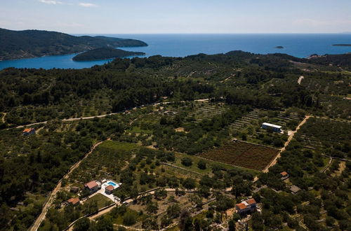 Photo 60 - Villa With the Pool Near Vela Luka