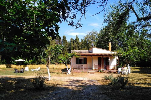 Photo 42 - The Olive Garden House, on the North Coast of Corfu