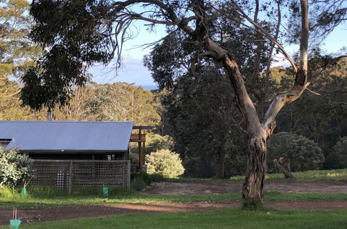 Photo 7 - Turicum Chalets AT Monkey Rock Winery