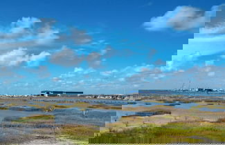 Photo 1 - Birds on the Bay