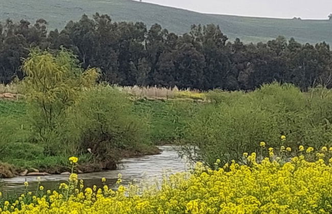 Villa & Lode Bat Galil - Foto 59