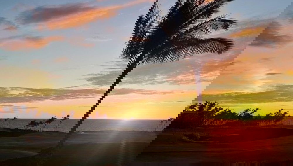 Imagem principal