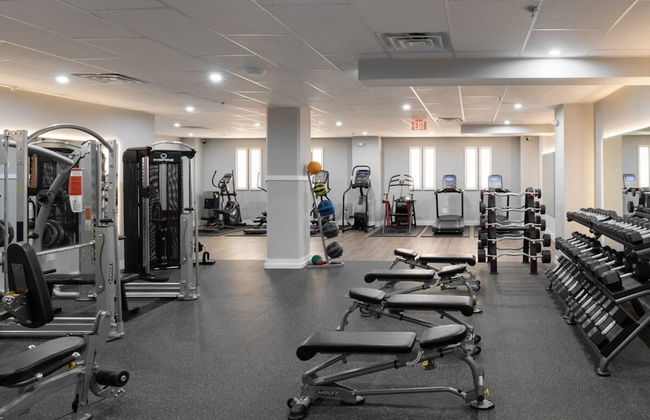 Sosuite Studio Acc. w Shared W/d, Gym, Lounge - Foto 6