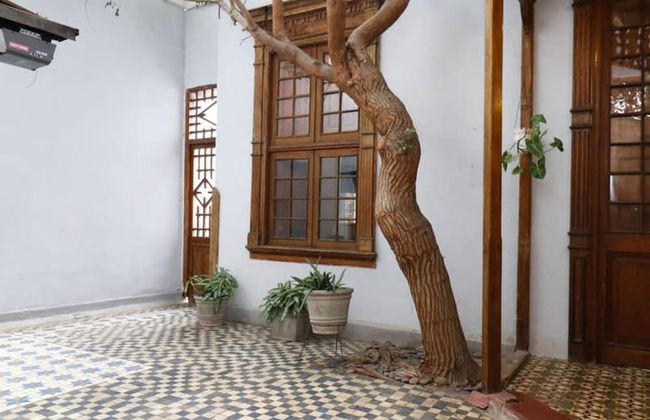 w 3BR Baroque Villa With Spacious Terrace - Photo 6