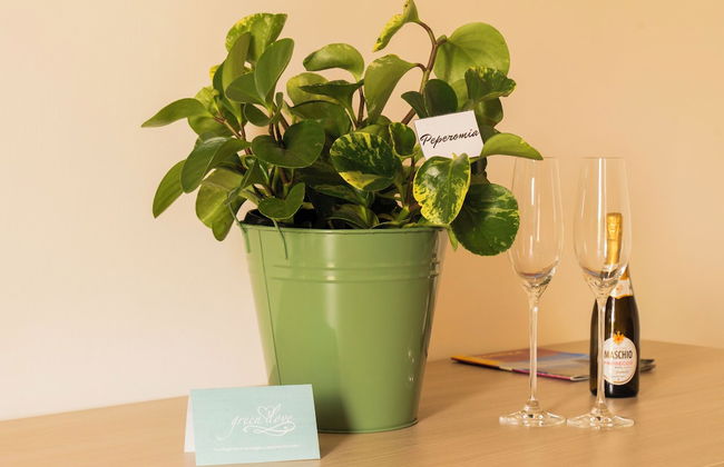 GREENLOVE - Foto 22