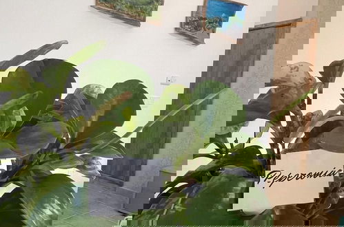 Foto 14 - GREENLOVE